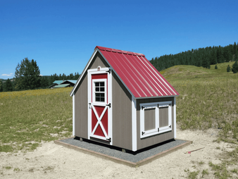 Chicken Coop Montana