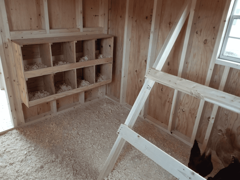 Chicken Coop Montana