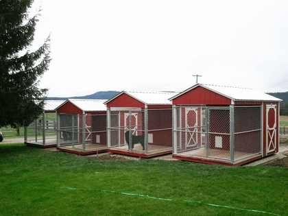 Dog Kennel Shed